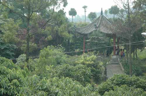 襄阳市护士学校