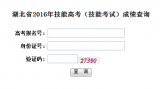 湖北省2016年技能高考（技能考试）成绩查询