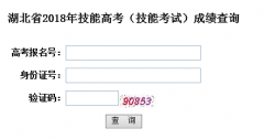 湖北省2018年技能高考（技能考试）成绩查询