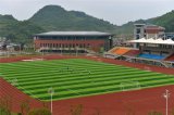 安陆惠丰计算机学校有哪些助学政策？
