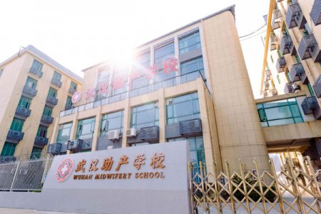 <b>武汉助产学校2025年招生简章</b>