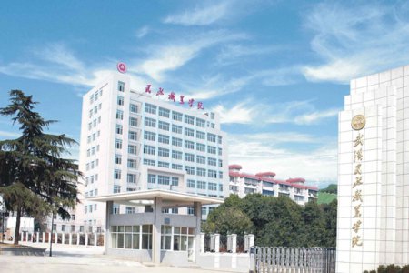 武汉民政职业学院2025年高职单招招生章程