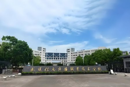武汉信息传播职业技术学院2025年高职单招招生章