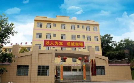 洞口县第一职业中学2025年招生简章
